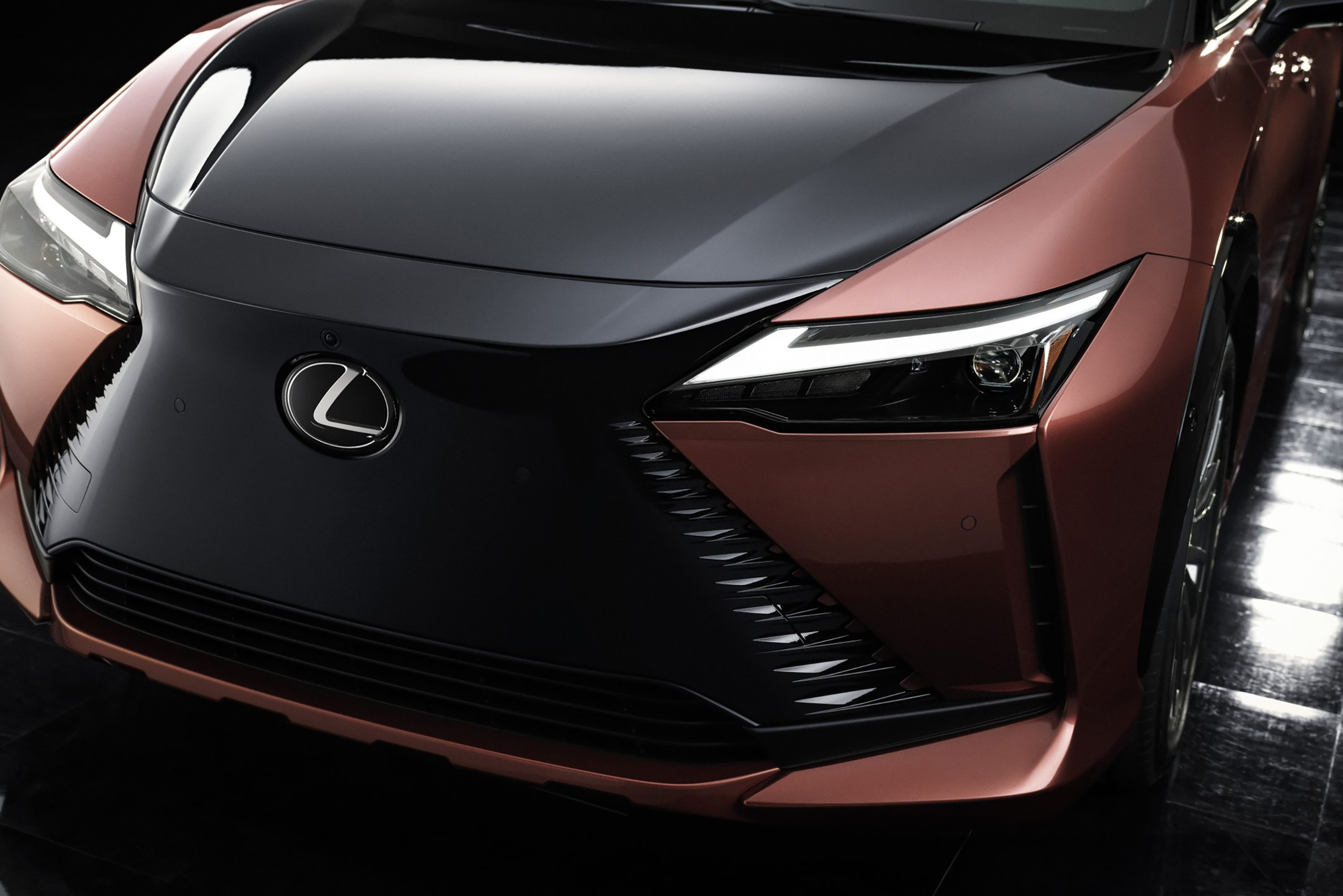 Lexus RZ450 Gallery 7