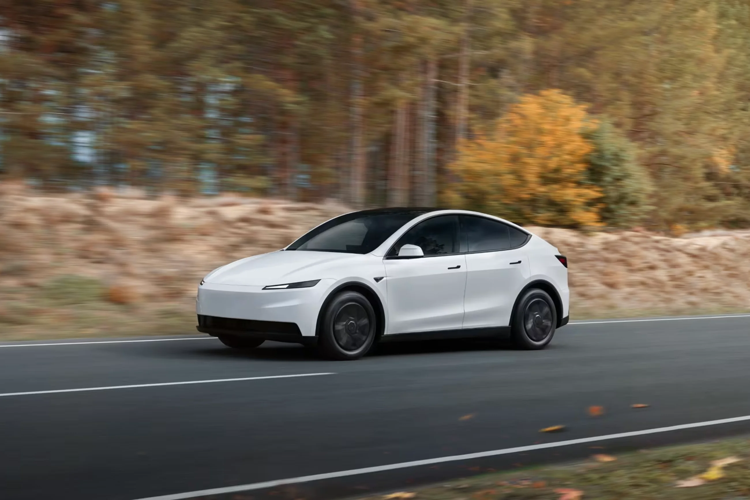 Tesla Model Y - Image 19